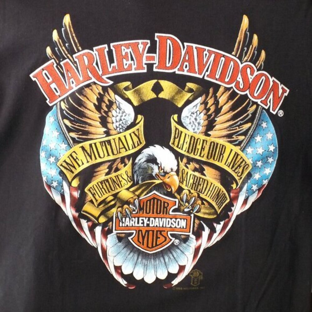 HARLEY-DAVIDSON Tshirt, S/M, VINTAGE Holoubek, Eagle/Flags, Single stitch, 87/88